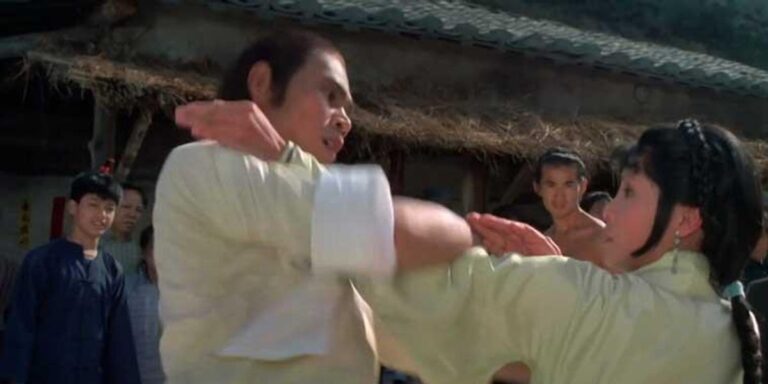 SHAOLIN STUDIOS 5: Ten Tigers of Shaolin Partie 3: Invité spécial Fong Wing Chun