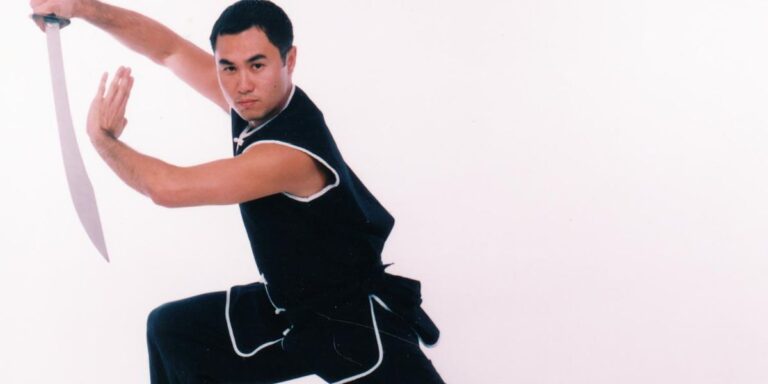 Exploitez le pouvoir KO du Choy Lay Fut Kung Fu traditionnel