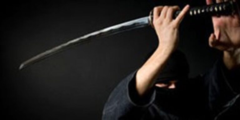 Histoire des ninjas 101 : Entraînement au ninjutsu