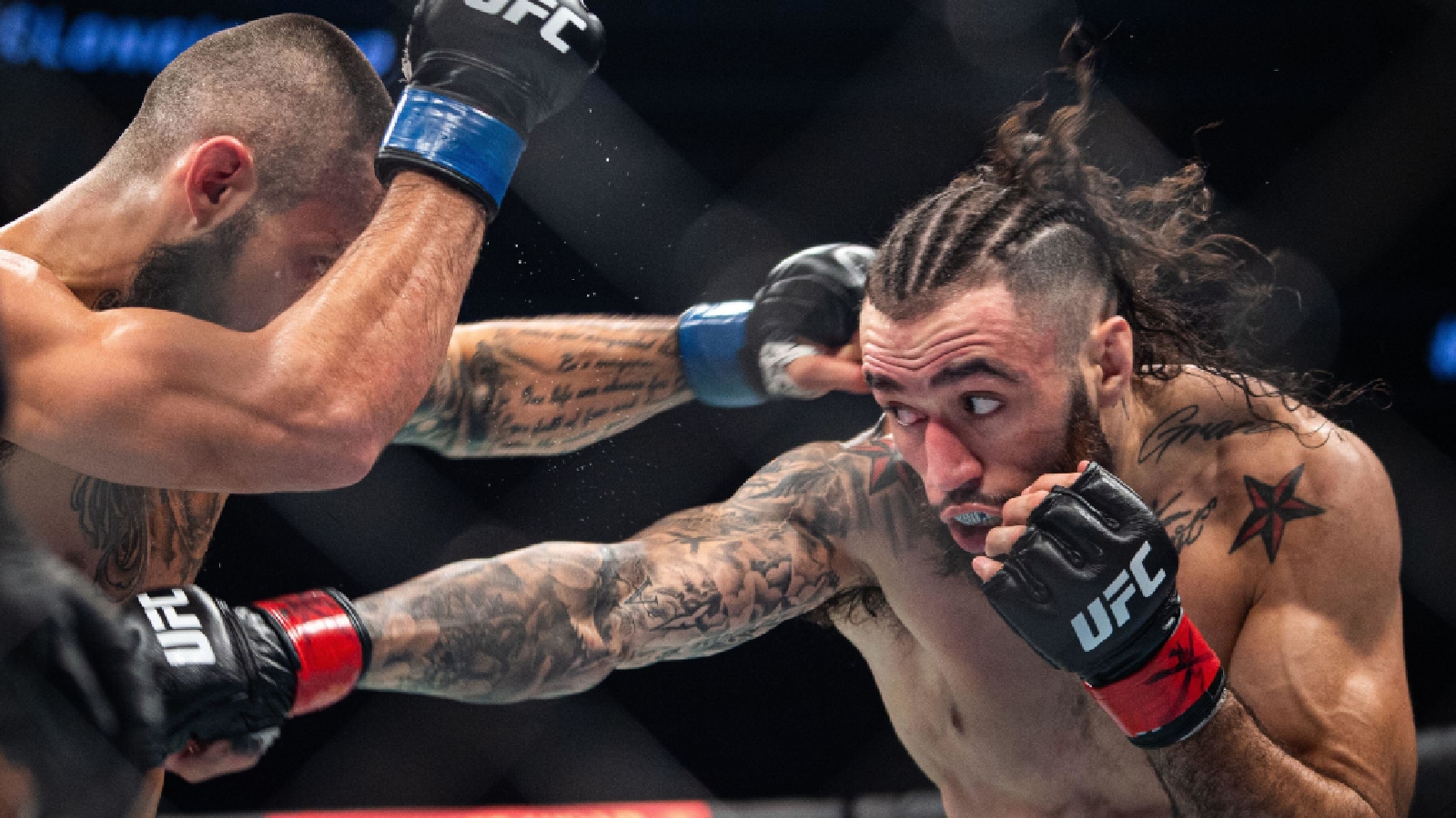 Combien d'argent les combattants MMA peuvent-ils gagner ?