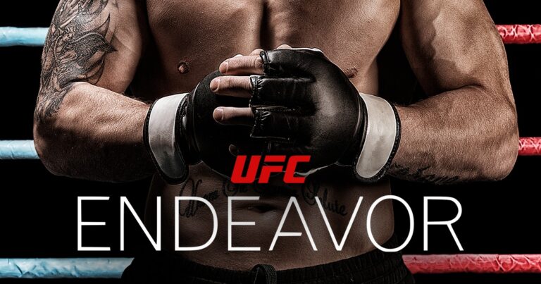 L&rsquo;UFC produit des « revenus records » pour Endeavour