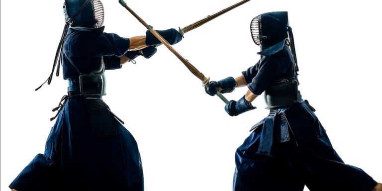L&rsquo;épée et Internet : méthodes anciennes, kendo moderne