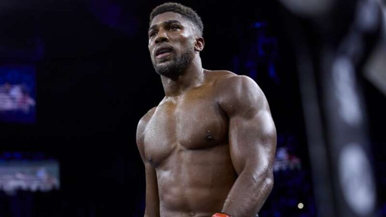 Implications du classement des poids lourds IBF |  SPORTS DE COMBAT