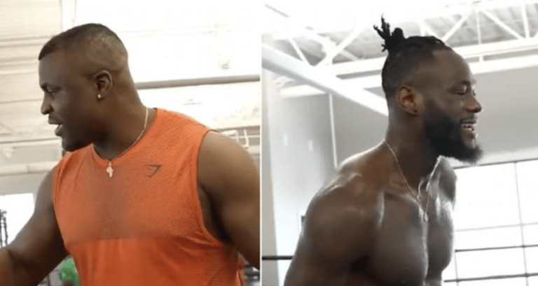 Le fondateur de PFL soutient Wilder Vs.  Ngannou