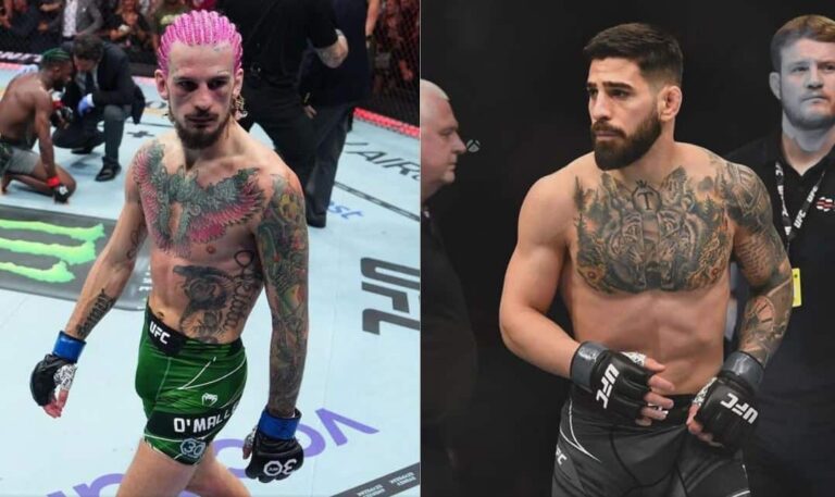 Topuria sur Champ contre.  Combat de champion avec O'Malley