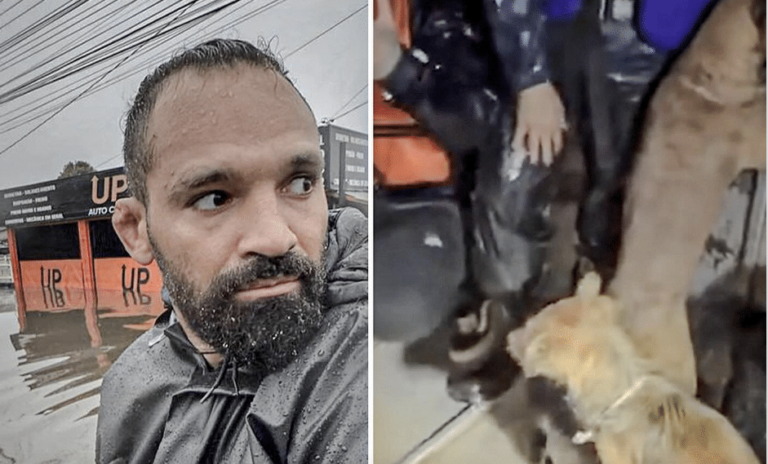 Michel Pereira de l'UFC sauve des chiens lors des inondations au Brésil