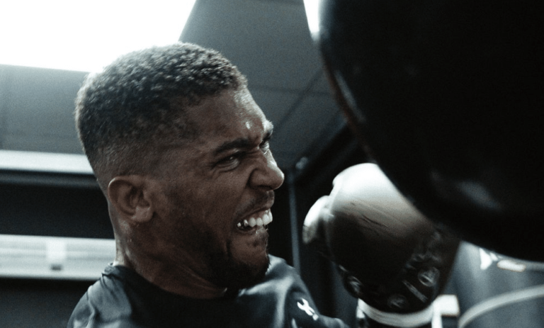 Joshua sur Dubois : les fans « veulent voir la domination »