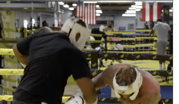 Jake Paul suscite la controverse avec une vidéo de sparring