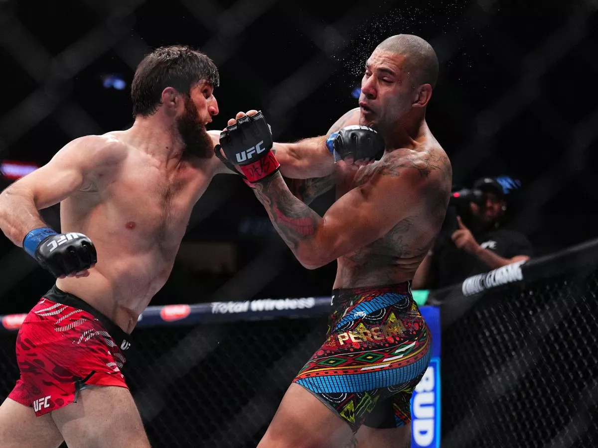 Pereira Vs. Rematch Ankalaev ciblé pour cet été