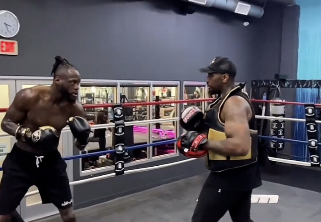 Wilder Retour à la formation | Combattre les sports