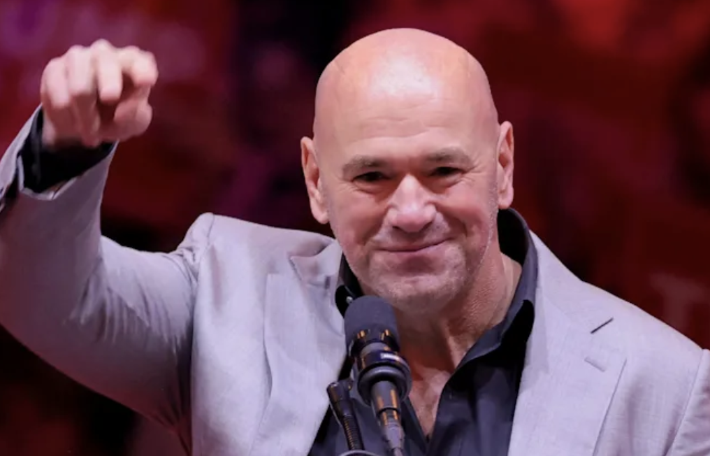 TKO décrit leurs plans de boxe