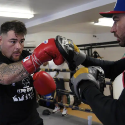 Le retour de Ruiz se rapproche – SPORTS DE COMBAT