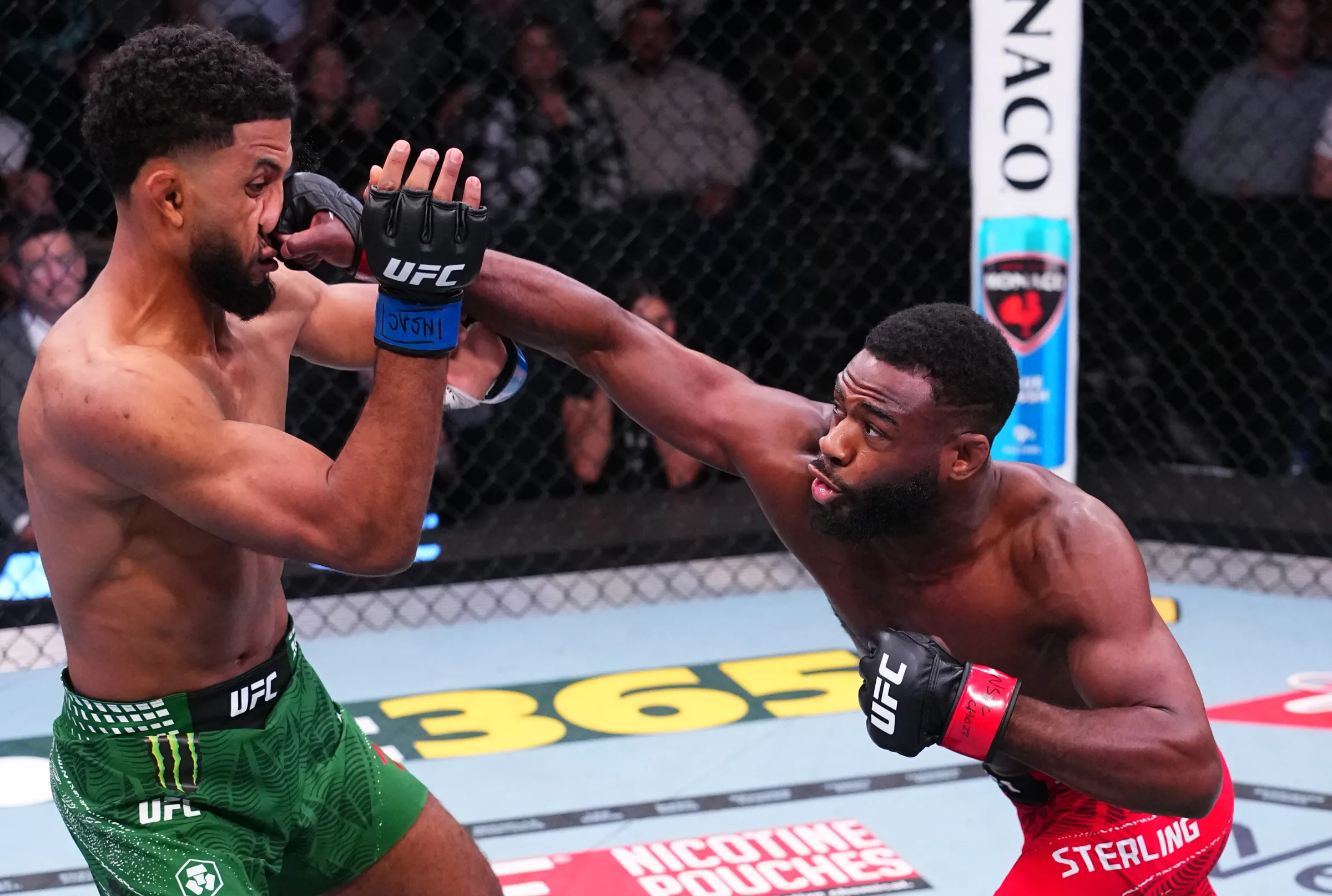Aljamain Sterling mauls Zalal et publie des appels pour les prochains adversaires de 145 livres