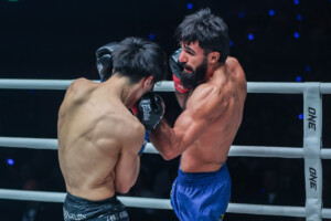 Marat Grigorian Kaito UN SAMOURAÏ 1 12