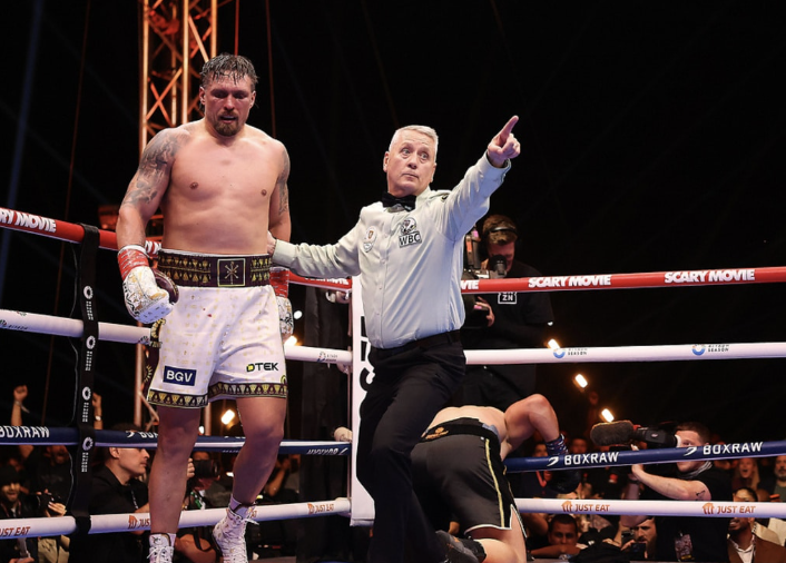 L'arbitre Usyk vs Verhoeven explique son appel d'arrêt