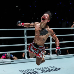 Les meilleures images de ONE Fight Night 45 : Lessei contre Rabah