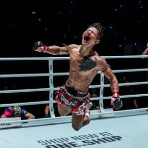 Les meilleures images de ONE Fight Night 45 : Lessei contre Rabah