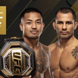 Jeu de cartes complet UFC 331 : Tsarukyan et Pantoja font leur retour
